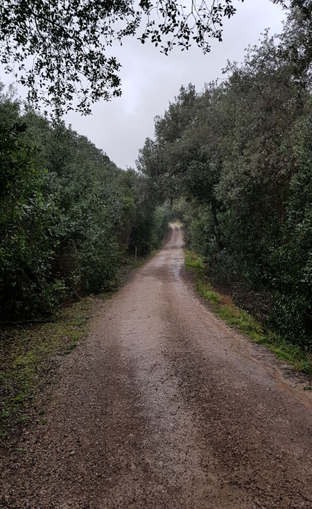 Casasola