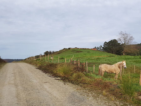 La Franca
