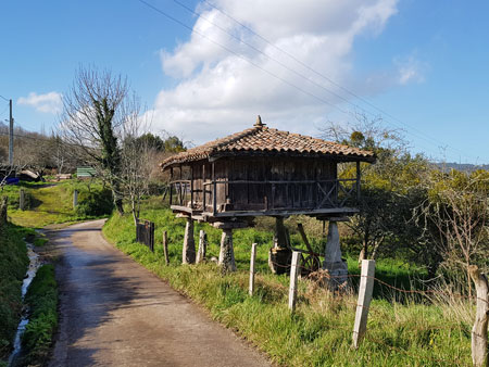 Sebrayo