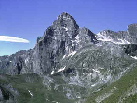 Pelvo