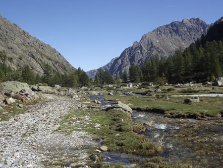 Vallasco
