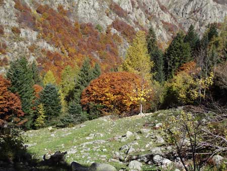 Valle Gesso
