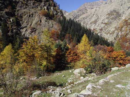 Valle Gesso