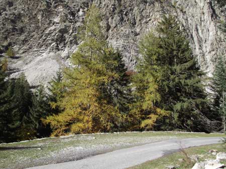 Valle Gesso