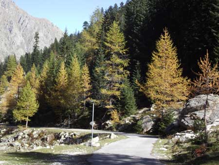 Valle Gesso