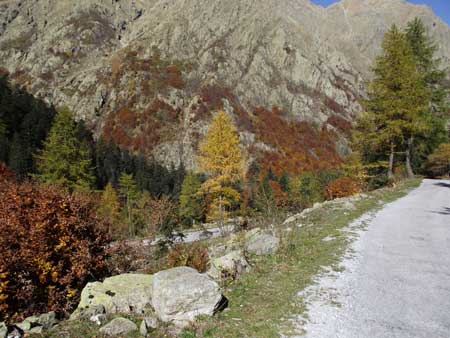 Valle Gesso