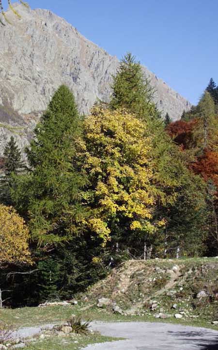 Valle Gesso