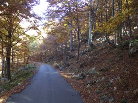 Valle Gesso