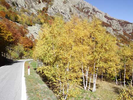 Valle Gesso