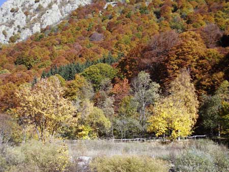 Valle Gesso