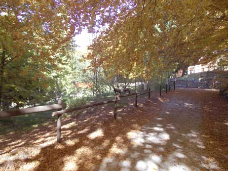 Valle Gesso