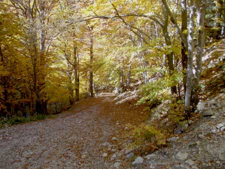 Valle Gesso