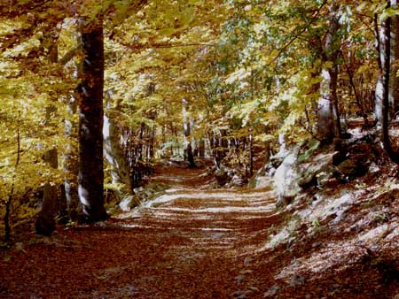Valle Gesso