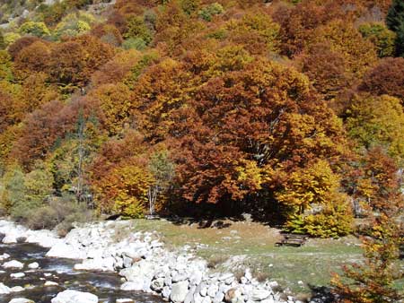 Valle Gesso